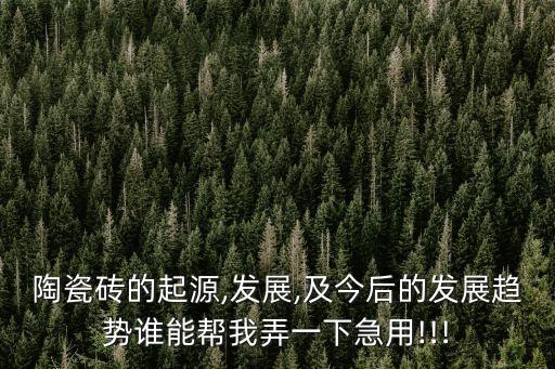 陶瓷磚的起源,發(fā)展,及今后的發(fā)展趨勢誰能幫我弄一下急用!!!