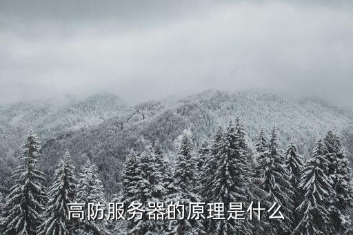 高防服務(wù)器的原理是什么