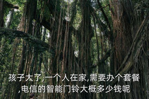孩子大了,一個(gè)人在家,需要辦個(gè)套餐,電信的智能門(mén)鈴大概多少錢(qián)呢