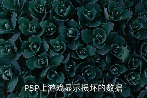 PSP上游戲顯示損壞的數(shù)據(jù)