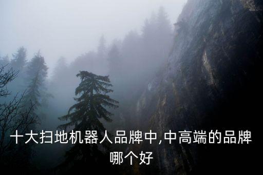 硅谷機(jī)器人公司,掃地機(jī)器人十大品牌排行榜出爐!