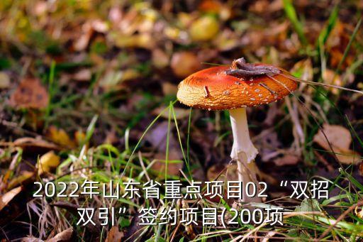山東醫(yī)美自動(dòng)化設(shè)備,美博會(huì):醫(yī)美消費(fèi)暗藏風(fēng)險(xiǎn)和陷阱