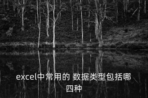 excel中常用的 數(shù)據(jù)類型包括哪四種