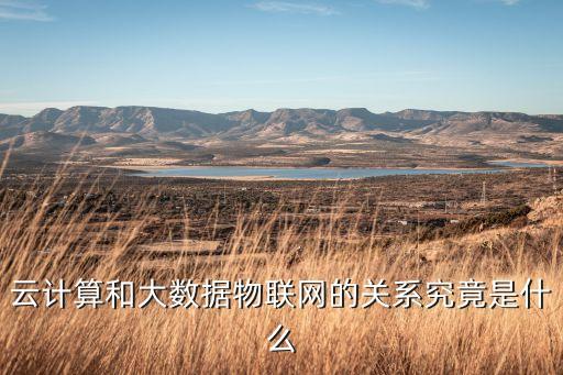 云計算和大數(shù)據(jù)物聯(lián)網(wǎng)的關系究竟是什么