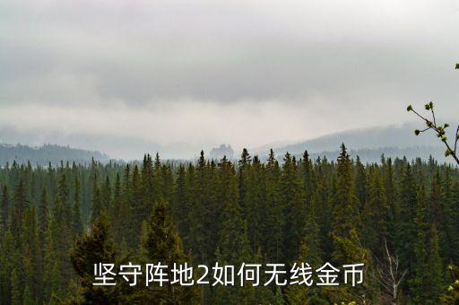 堅(jiān)守陣地2如何無線金幣