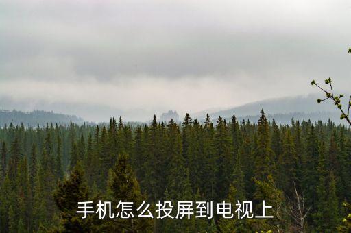 手機怎么投屏到電視上