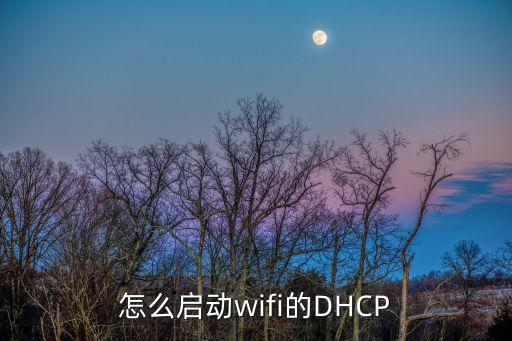 怎么啟動wifi的DHCP