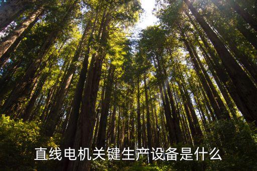 直線電機(jī)關(guān)鍵生產(chǎn)設(shè)備是什么