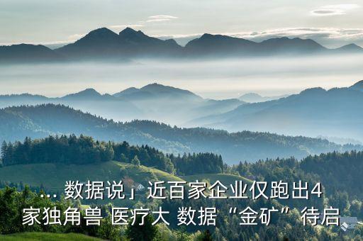 ... 數(shù)據(jù)說(shuō)」近百家企業(yè)僅跑出4家獨(dú)角獸 醫(yī)療大 數(shù)據(jù)“金礦”待啟