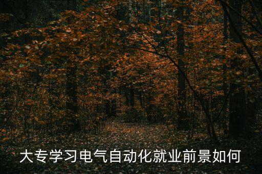 專科電氣自動(dòng)化吃香嗎,電氣自動(dòng)化技術(shù)?？朴谐雎穯?