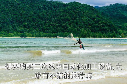 想要購(gòu)買二次線束自動(dòng)化加工設(shè)備,大家有不錯(cuò)的推薦嘛