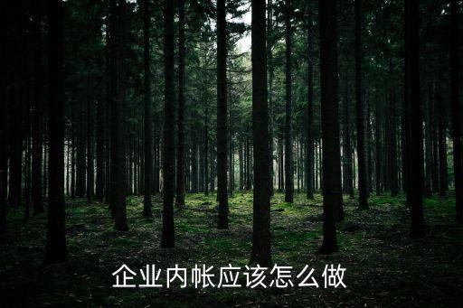 企業(yè)內(nèi)帳應(yīng)該怎么做