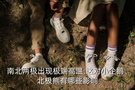 南北兩極出現(xiàn)極端高溫,這對小企鵝、北極熊有哪些影響