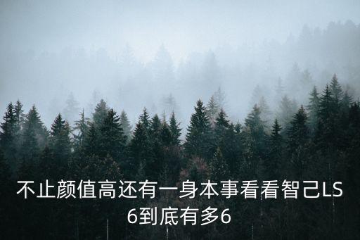 不止顏值高還有一身本事看看智己LS6到底有多6