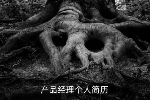 產(chǎn)品經(jīng)理個(gè)人簡(jiǎn)歷