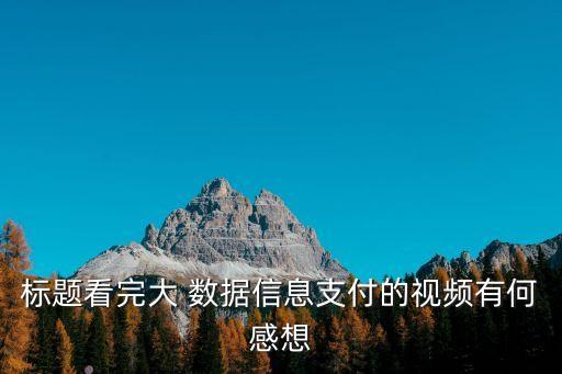 標(biāo)題看完大 數(shù)據(jù)信息支付的視頻有何感想