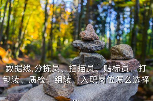 數(shù)據(jù)線,分揀員、掃描員、貼標(biāo)員、打包裝、質(zhì)檢、組裝、入職崗位怎么選擇...