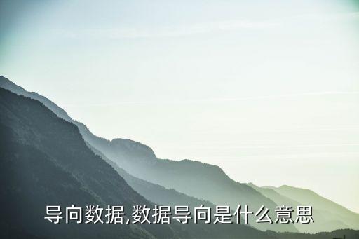 結(jié)果導(dǎo)向數(shù)據(jù),數(shù)據(jù)導(dǎo)向是什么意思