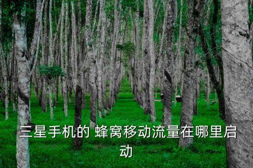  三星手機的 蜂窩移動流量在哪里啟動