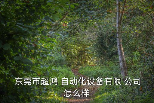  東莞市超鴻 自動(dòng)化設(shè)備有限 公司怎么樣