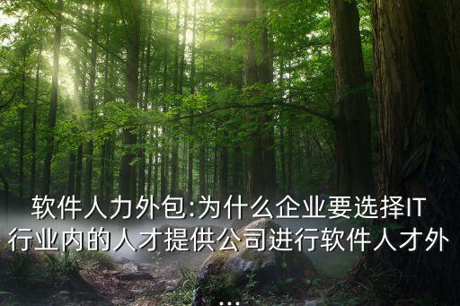 軟件人力外包:為什么企業(yè)要選擇IT行業(yè)內的人才提供公司進行軟件人才外...
