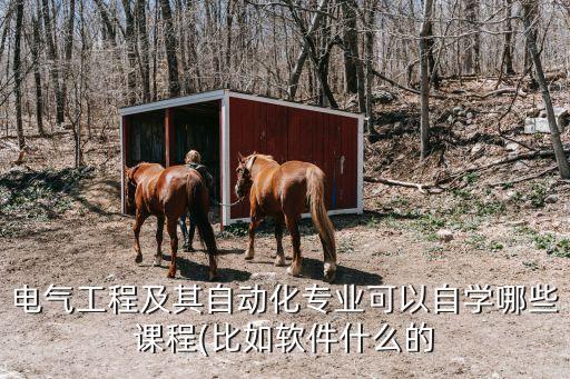 電氣工程及其自動化專業(yè)可以自學(xué)哪些課程(比如軟件什么的