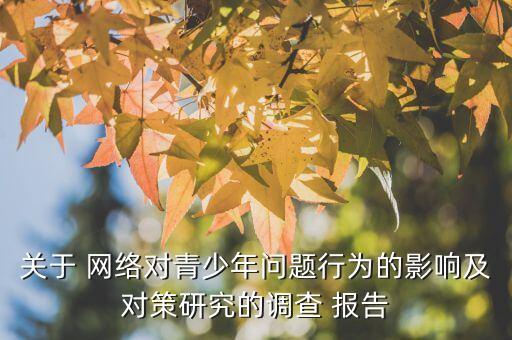 關(guān)于 網(wǎng)絡(luò)對(duì)青少年問題行為的影響及對(duì)策研究的調(diào)查 報(bào)告