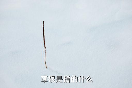 草根,一文看懂!關(guān)于草根的意思