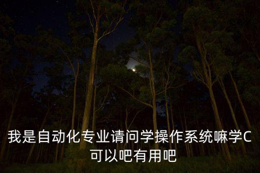 我是自動化專業(yè)請問學(xué)操作系統(tǒng)嘛學(xué)C  可以吧有用吧