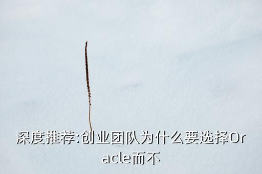oracle數(shù)據(jù)庫一體機(jī) 價格,Oracle數(shù)據(jù)庫是什么