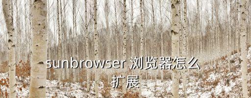 瀏覽器擴(kuò)展,pl瀏覽器