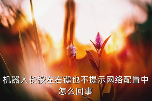 機器人長按左右鍵也不提示網(wǎng)絡(luò)配置中怎么回事