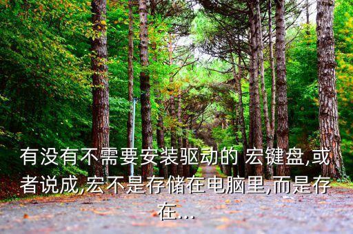 有沒(méi)有不需要安裝驅(qū)動(dòng)的 宏鍵盤(pán),或者說(shuō)成,宏不是存儲(chǔ)在電腦里,而是存在...