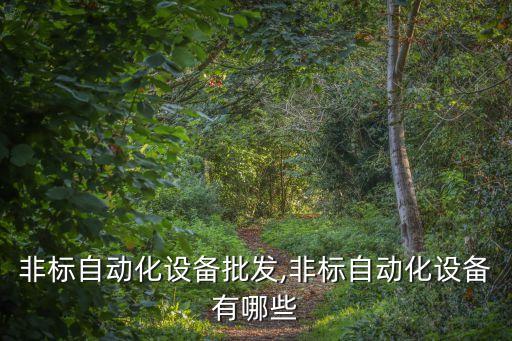 云南非標(biāo)自動化設(shè)備批發(fā),非標(biāo)自動化設(shè)備有哪些?