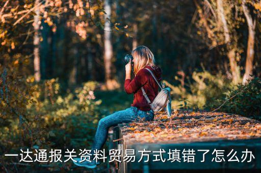 一達(dá)通報(bào)關(guān)資料貿(mào)易方式填錯(cuò)了怎么辦