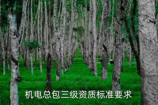 機(jī)電總包三級(jí)資質(zhì)標(biāo)準(zhǔn)要求