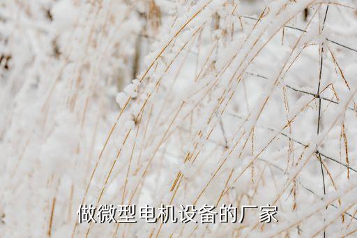 做微型電機(jī)設(shè)備的廠家