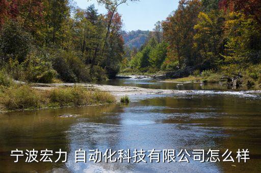 寧波宏力 自動(dòng)化科技有限公司怎么樣