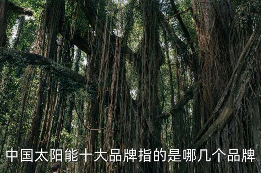 中國太陽能十大品牌指的是哪幾個品牌
