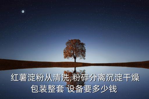 自動(dòng)化紅薯?xiàng)l生產(chǎn)設(shè)備,紅薯淀粉生產(chǎn)設(shè)備多少錢