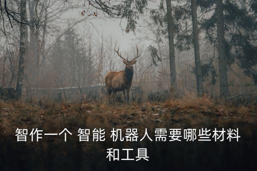 智作一個(gè) 智能 機(jī)器人需要哪些材料和工具