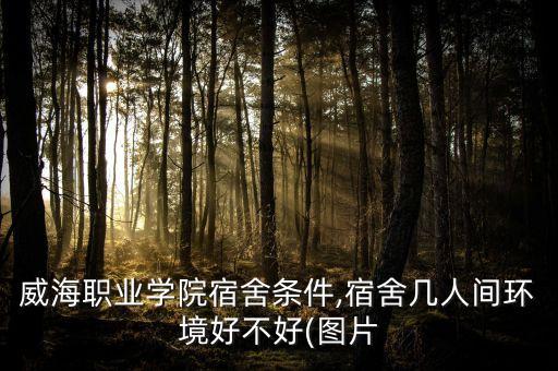 威海職業(yè)學(xué)院宿舍條件,宿舍幾人間環(huán)境好不好(圖片