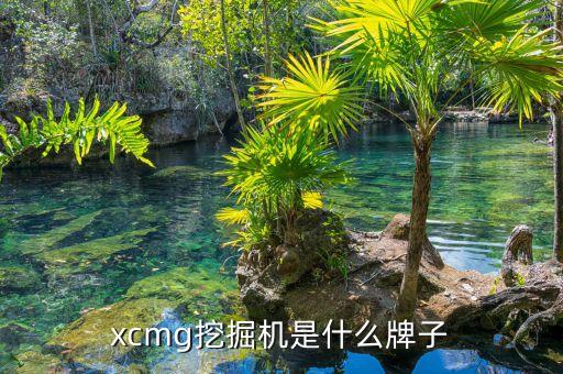 xcmg挖掘機(jī)是什么牌子