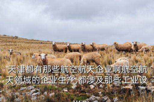 天津特瑞安自動化設(shè)備,瑞安智遠(yuǎn)自動化設(shè)備有限公司