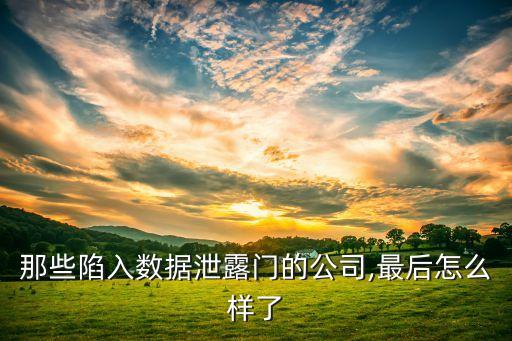 那些陷入數(shù)據(jù)泄露門的公司,最后怎么樣了