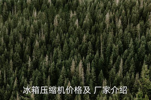冰箱壓縮機(jī)價(jià)格及 廠家介紹