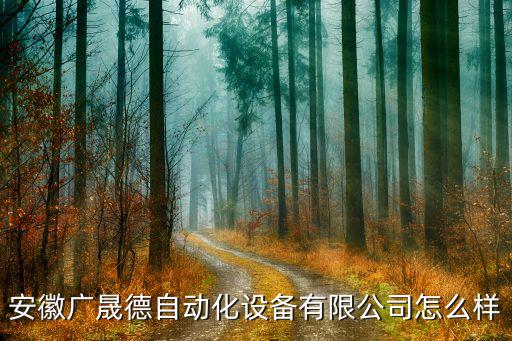 安徽廣晟德自動化設(shè)備有限公司怎么樣