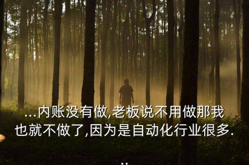 ...內(nèi)賬沒有做,老板說不用做那我也就不做了,因為是自動化行業(yè)很多...