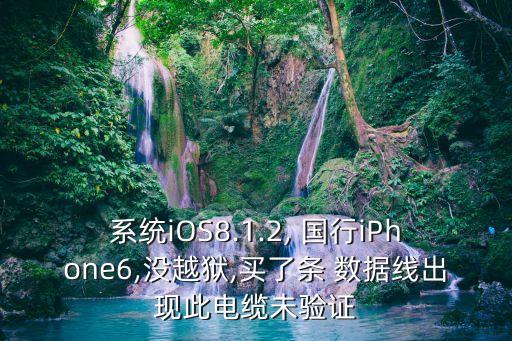 系統(tǒng)iOS8.1.2, 國行iPhone6,沒越獄,買了條 數(shù)據(jù)線出現(xiàn)此電纜未驗證