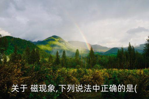 關(guān)于 磁現(xiàn)象,下列說法中正確的是(